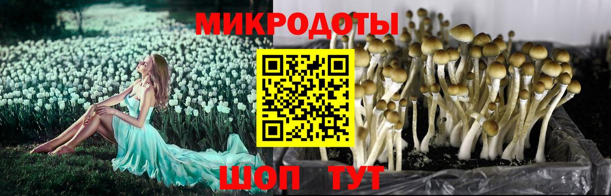 Галлюциногенные грибы ЛСД Канаш